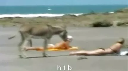 نحيف مع ثدي سكس عربي ام وابنها صغير يعطي اللعنة