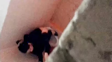 الجنس الفائق لمشجعة سكس عربي ابن وامه جميلة